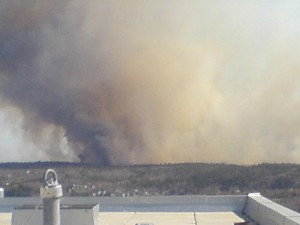 Looking at the fire from the Observatory